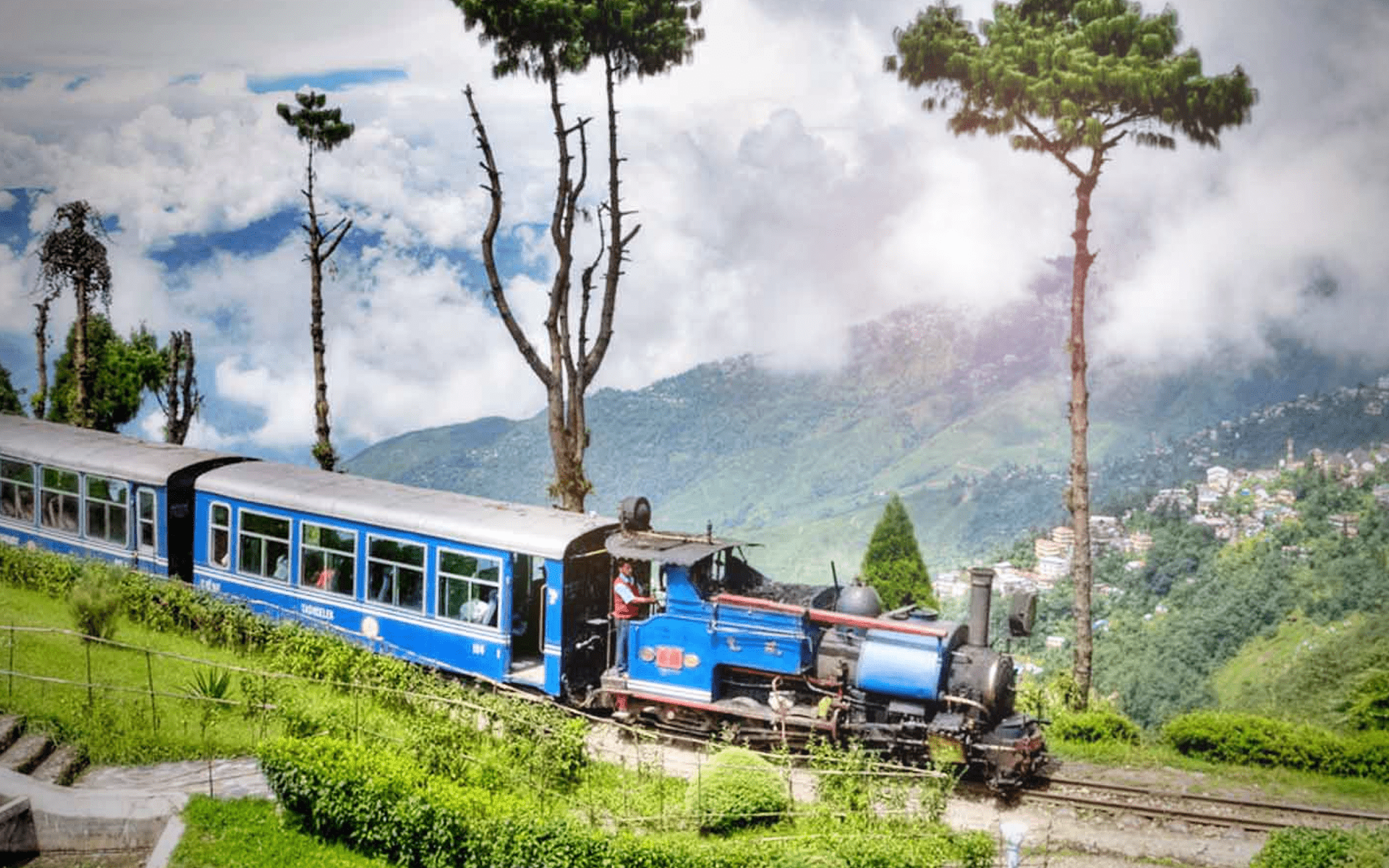 Day 05 Darjeeling - NJP / IXB